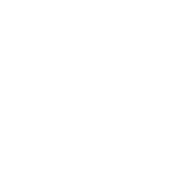 BrainsGate